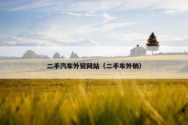 二手汽车外贸网站（二手车外销）