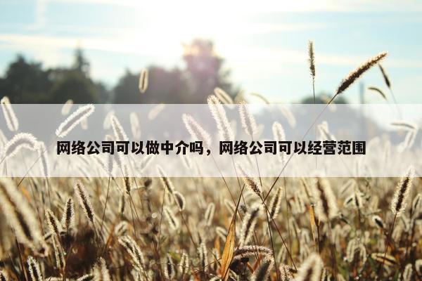 网络公司可以做中介吗，网络公司可以经营范围