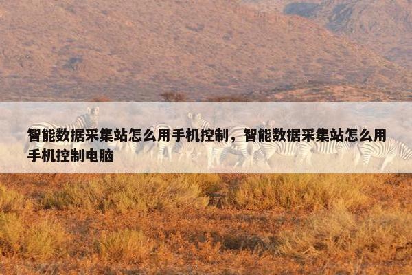 智能数据采集站怎么用手机控制，智能数据采集站怎么用手机控制电脑