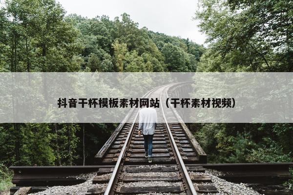 抖音干杯模板素材网站（干杯素材视频）