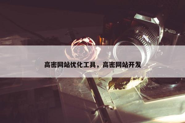 高密网站优化工具，高密网站开发