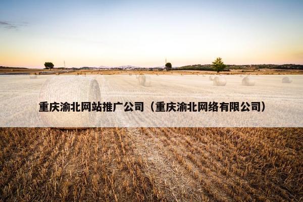 重庆渝北网站推广公司（重庆渝北网络有限公司）