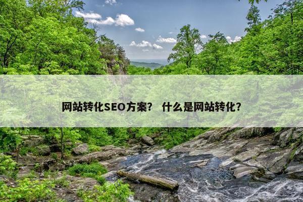 网站转化SEO方案？ 什么是网站转化？