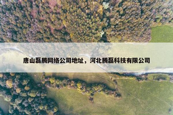 唐山磊腾网络公司地址，河北腾磊科技有限公司