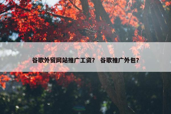 谷歌外贸网站推广工资？ 谷歌推广外包？
