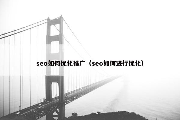 seo如何优化推广（seo如何进行优化）