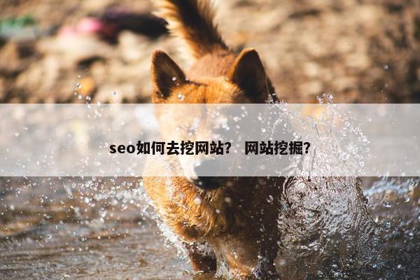 seo如何去挖网站？ 网站挖掘？