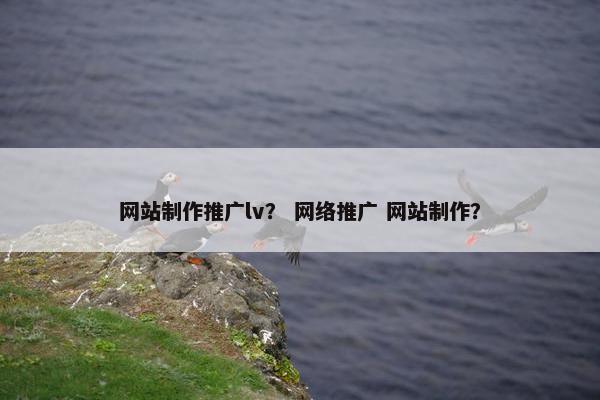 网站制作推广lv？ 网络推广 网站制作？
