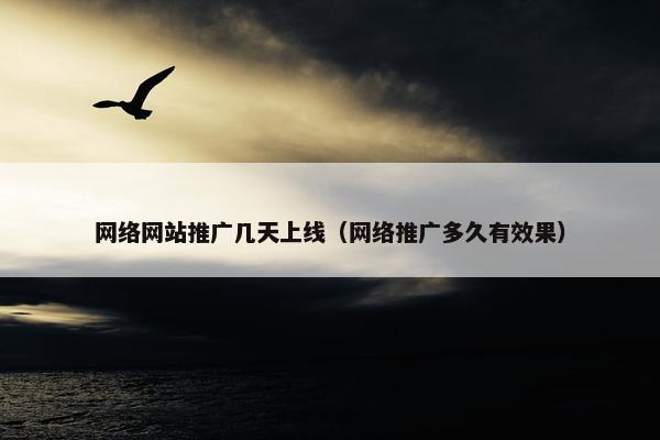 网络网站推广几天上线（网络推广多久有效果）