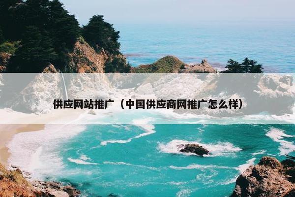 供应网站推广（中国供应商网推广怎么样）