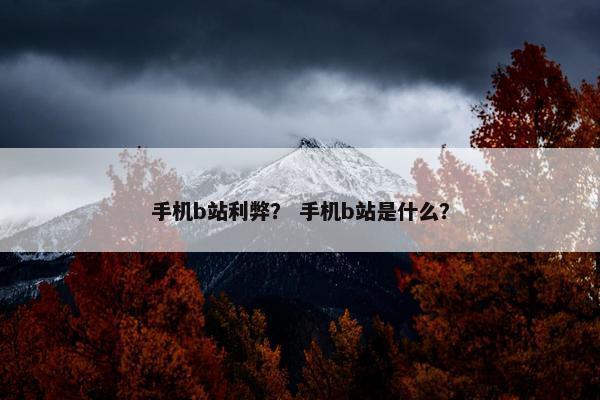 手机b站利弊？ 手机b站是什么？