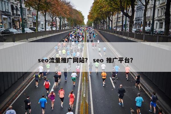 seo流量推广网站？ seo 推广平台？