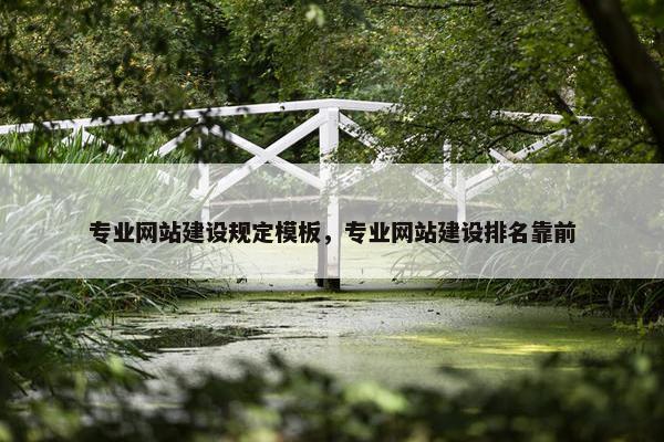 专业网站建设规定模板，专业网站建设排名靠前