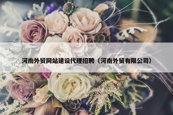 河南外贸网站建设代理招聘（河南外贸有限公司）