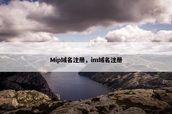 Mip域名注册，im域名注册