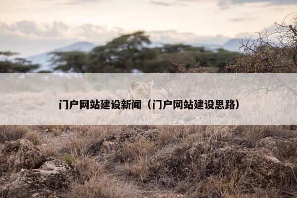 门户网站建设新闻（门户网站建设思路）