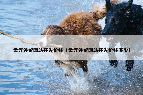 云浮外贸网站开发价钱（云浮外贸网站开发价钱多少）