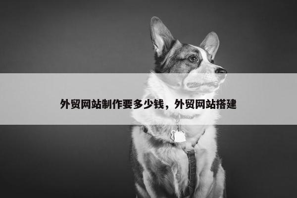 外贸网站制作要多少钱，外贸网站搭建
