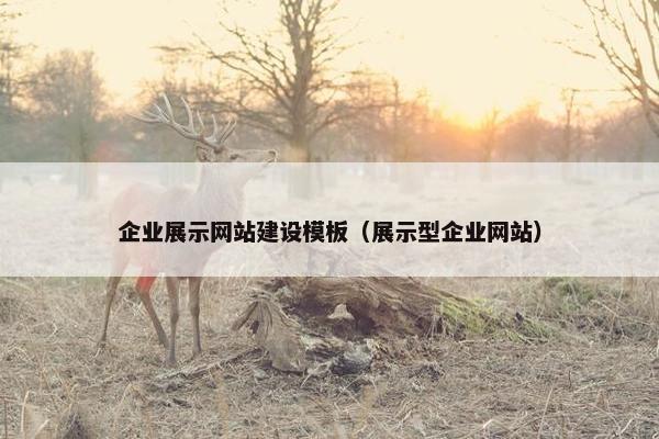 企业展示网站建设模板（展示型企业网站）