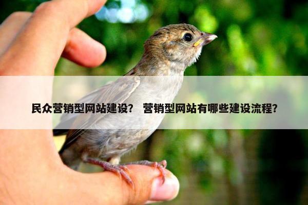 民众营销型网站建设？ 营销型网站有哪些建设流程？
