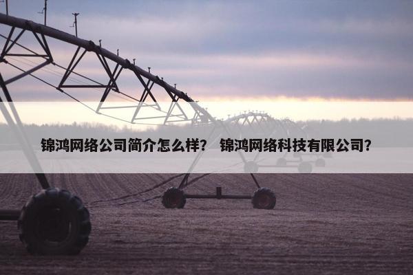 锦鸿网络公司简介怎么样？ 锦鸿网络科技有限公司？