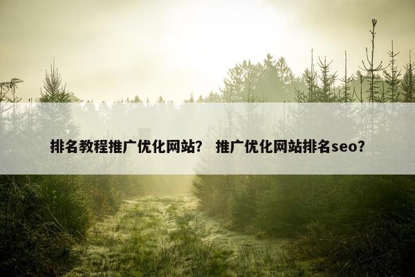 排名教程推广优化网站？ 推广优化网站排名seo？