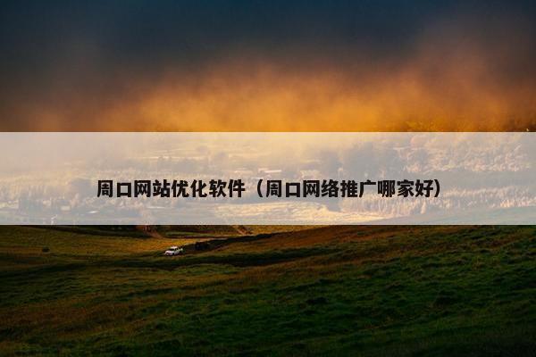 周口网站优化软件（周口网络推广哪家好）