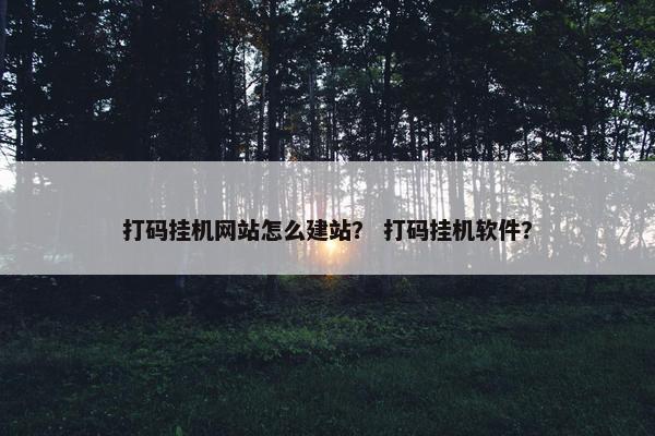 打码挂机网站怎么建站？ 打码挂机软件？