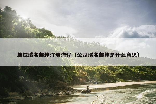 单位域名邮箱注册流程（公司域名邮箱是什么意思）