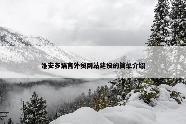淮安多语言外贸网站建设的简单介绍
