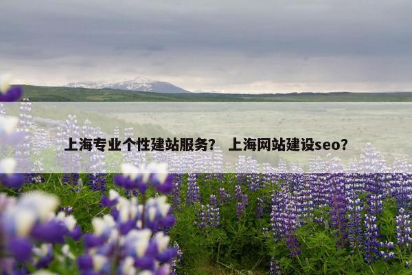 上海专业个性建站服务？ 上海网站建设seo？