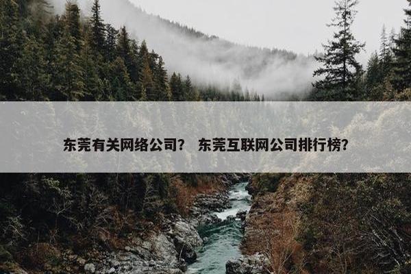 东莞有关网络公司？ 东莞互联网公司排行榜？