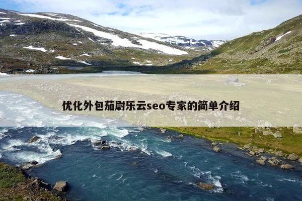 优化外包茄尉乐云seo专家的简单介绍