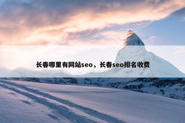 长春哪里有网站seo，长春seo排名收费