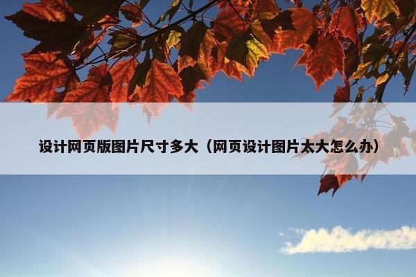 设计网页版图片尺寸多大（网页设计图片太大怎么办）