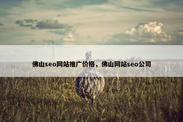 佛山seo网站推广价格，佛山网站seo公司
