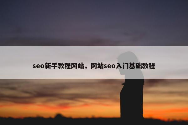 seo新手教程网站，网站seo入门基础教程