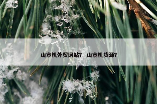 山寨机外贸网站？ 山寨机货源？