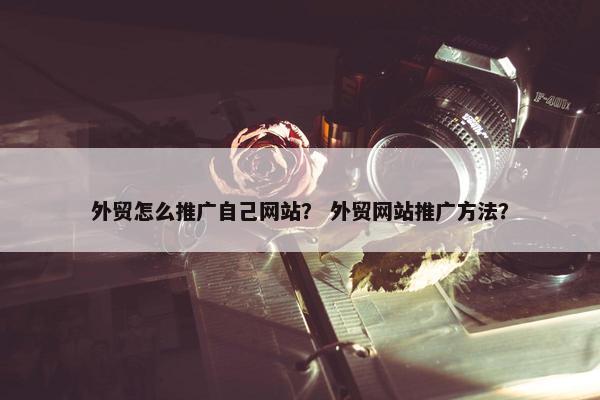外贸怎么推广自己网站？ 外贸网站推广方法？