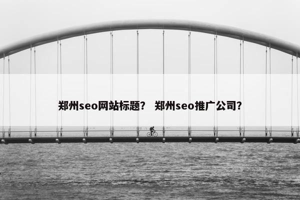 郑州seo网站标题？ 郑州seo推广公司？
