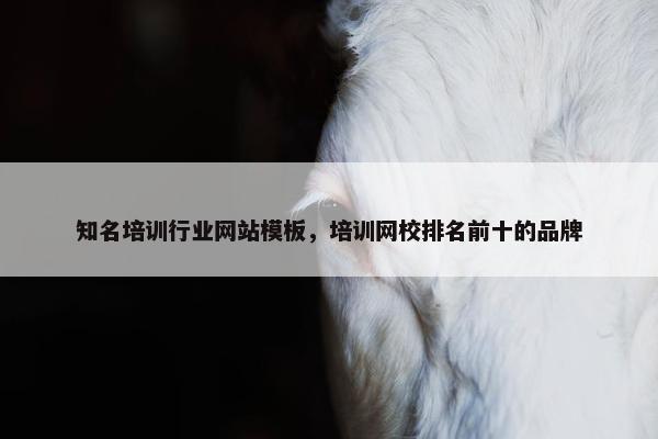 知名培训行业网站模板，培训网校排名前十的品牌