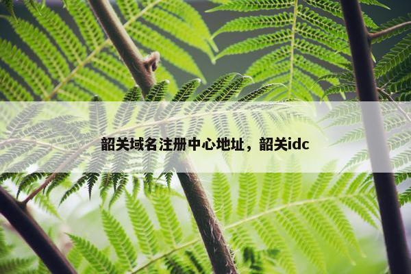韶关域名注册中心地址，韶关idc