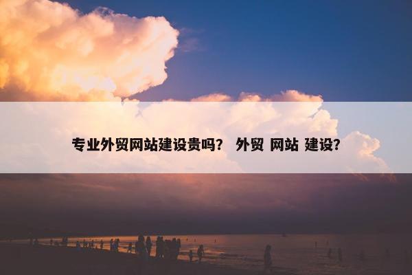 专业外贸网站建设贵吗？ 外贸 网站 建设？