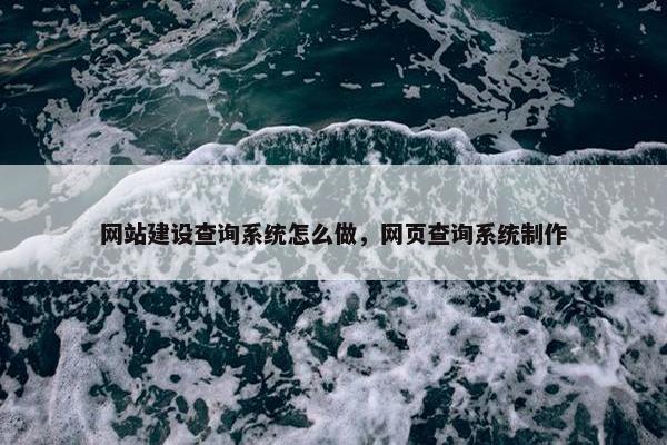 网站建设查询系统怎么做，网页查询系统制作