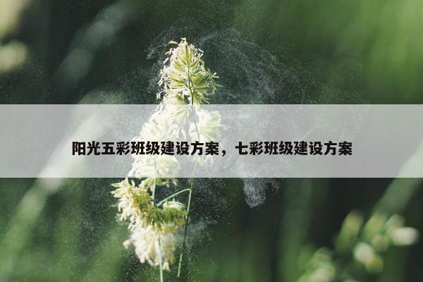 阳光五彩班级建设方案，七彩班级建设方案