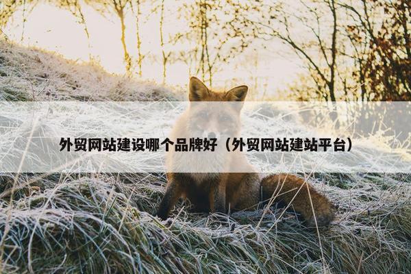 外贸网站建设哪个品牌好（外贸网站建站平台）