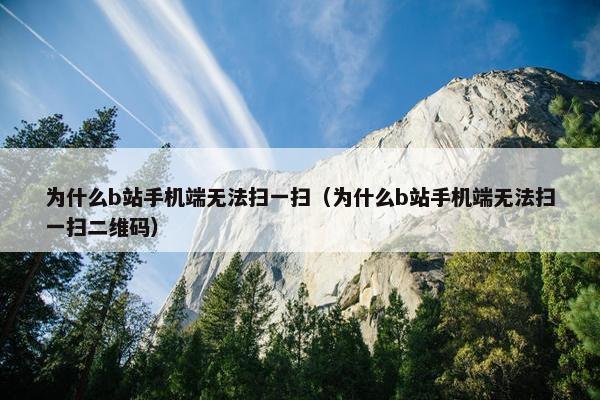 为什么b站手机端无法扫一扫（为什么b站手机端无法扫一扫二维码）