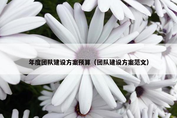 年度团队建设方案预算（团队建设方案范文）