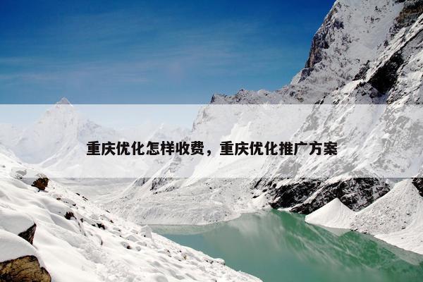 重庆优化怎样收费，重庆优化推广方案