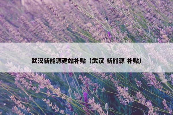 武汉新能源建站补贴（武汉 新能源 补贴）